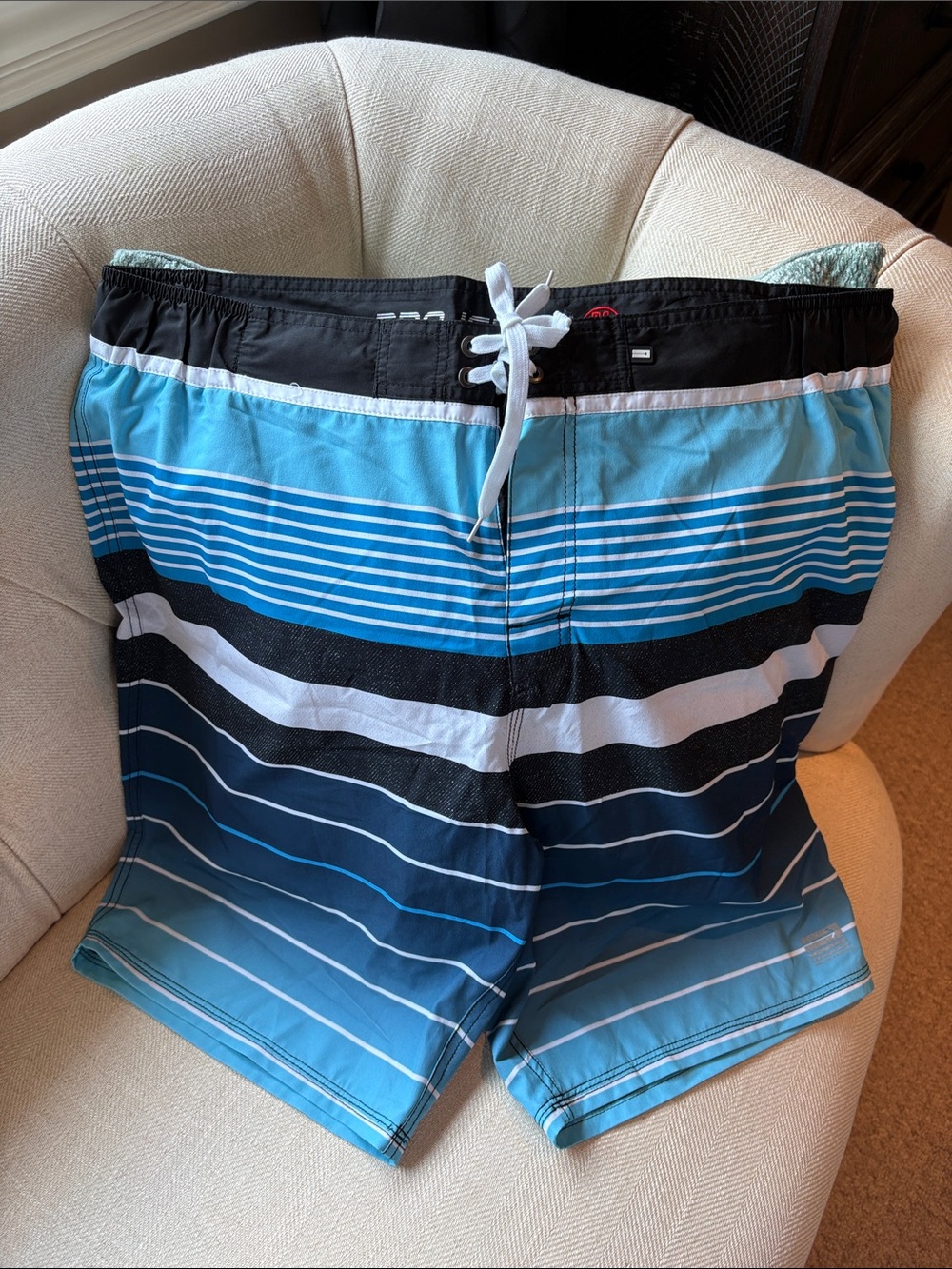 Projek Raw Blue Striped Men's Swim Trunks